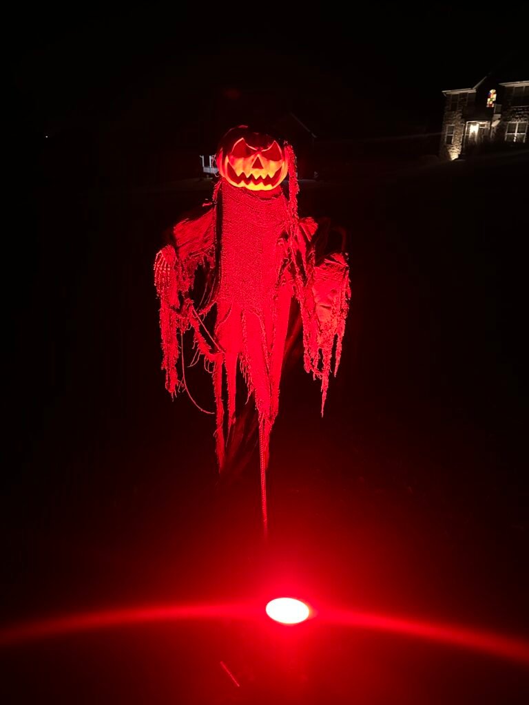 IMG_0271